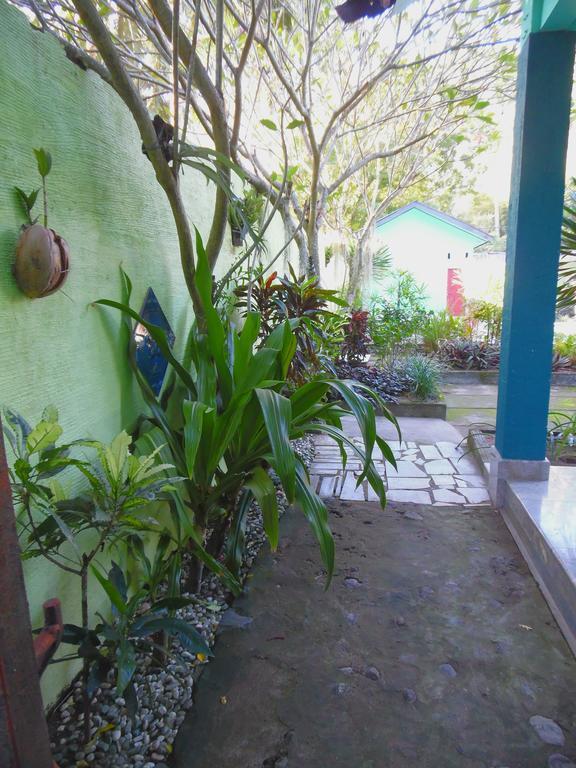Lazy Monkey Hotel Senggigi Luaran gambar